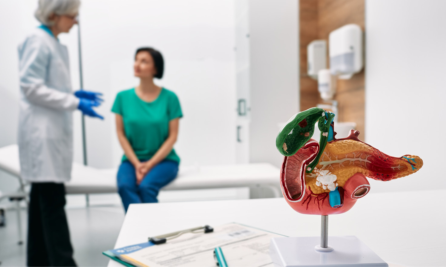 3D model of a pancreas cross section on a doctor's desk with the doctor and patient talking in the background