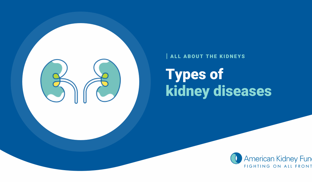 Types of Kidney Disease – American Kidney Fund