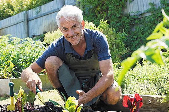 Three movements for functional fitness