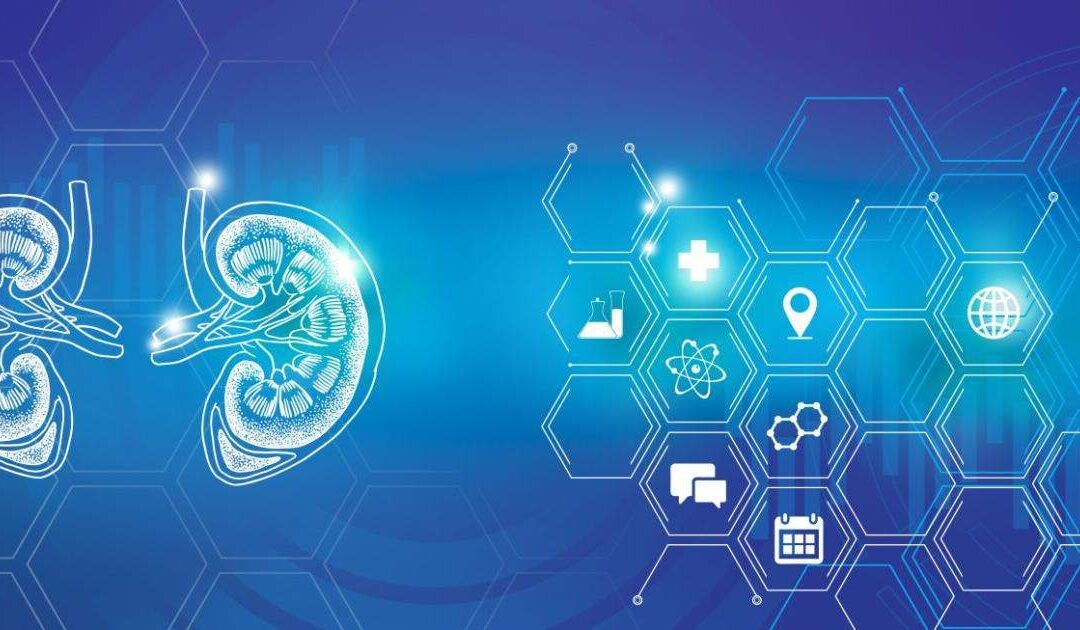 Kidney Health Innovations and Research