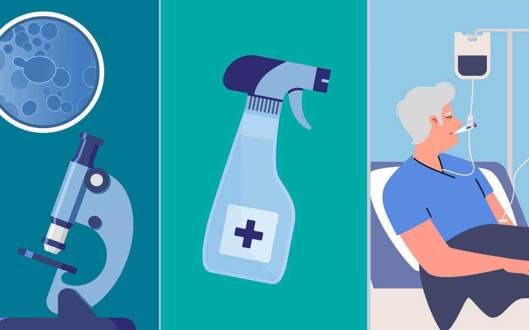 About C. auris | Candida auris (C. auris)