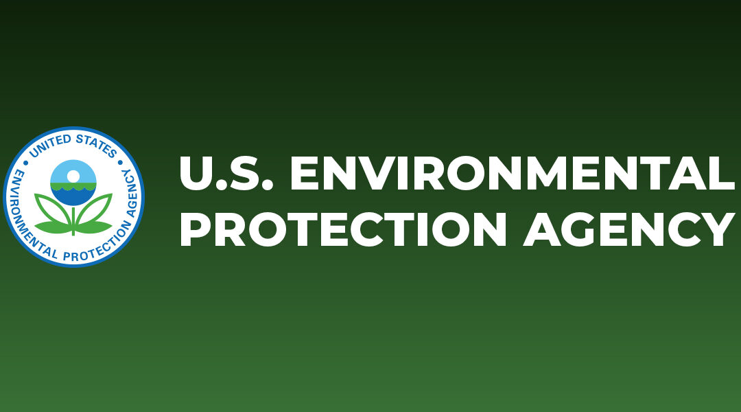 Overview of the endocrine system