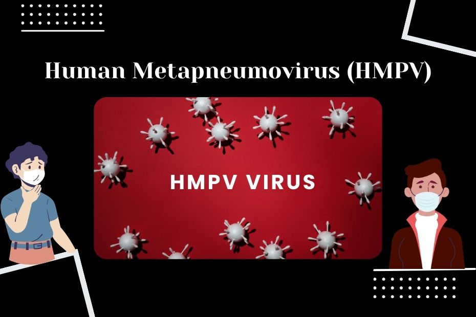 Human Metapneumovirus (HMPV) | Symptoms & Cases