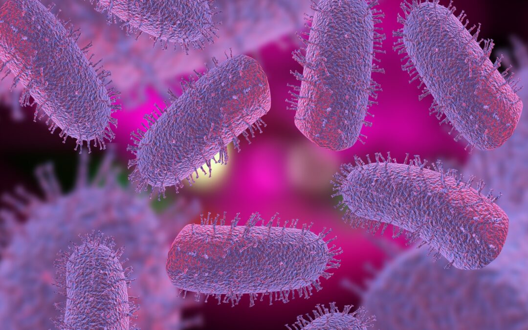 Rabies status by country | Rabies