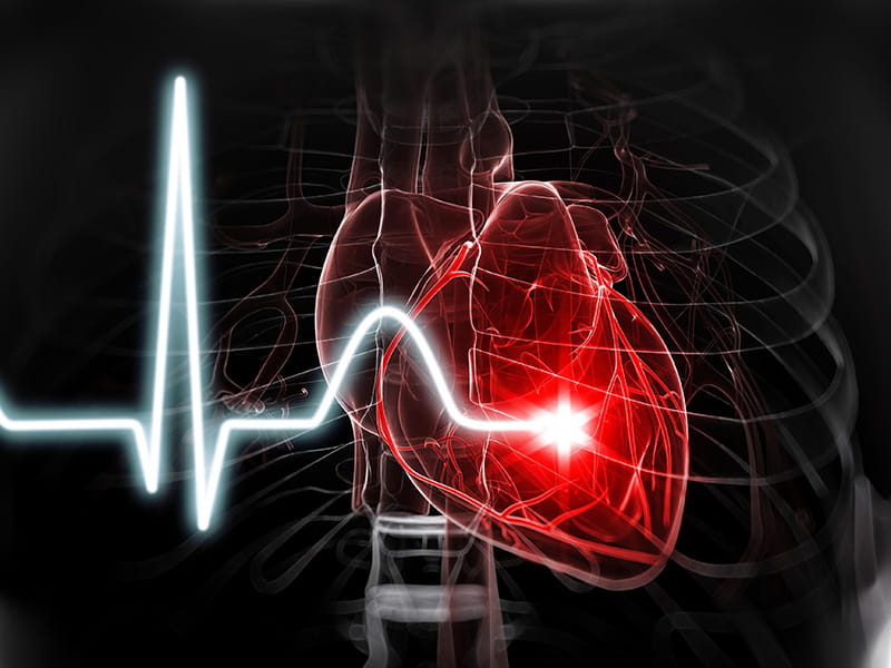 illustration of a heartbeat line graph of a stylized human heart