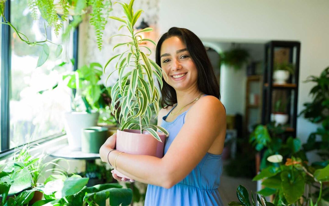 12 tips to use feng shui for mental health