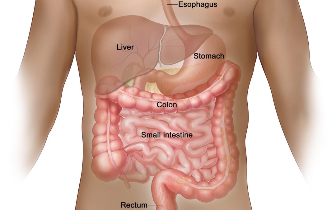 What is anal cancer? – NCI