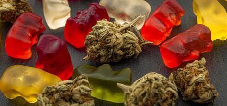 Edible Marijuana Dangers: How Parents Can Prevent THC Poisoning