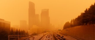 Forest fire smoke fills the cityscape