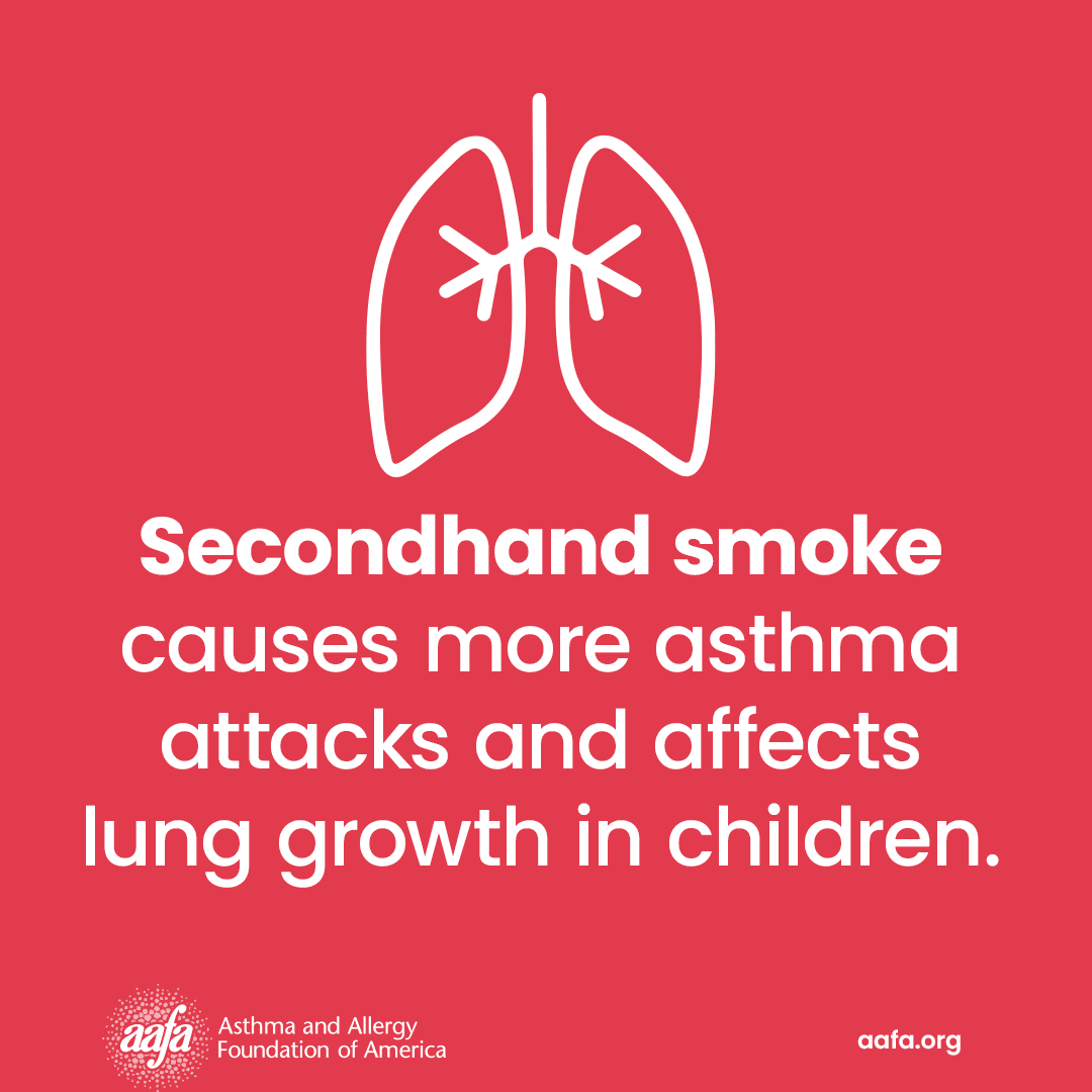 An illustration of lungs with the text passive smoking causes more asthma attacks and affects lung growth in children.