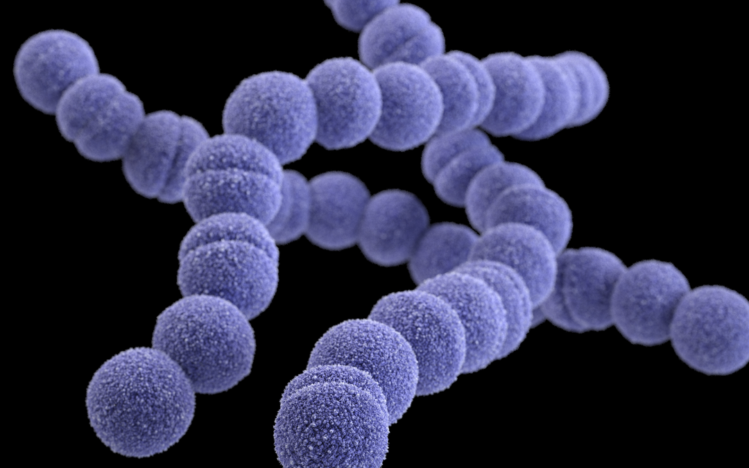 About Group A Strep Infection | Group A Strep
