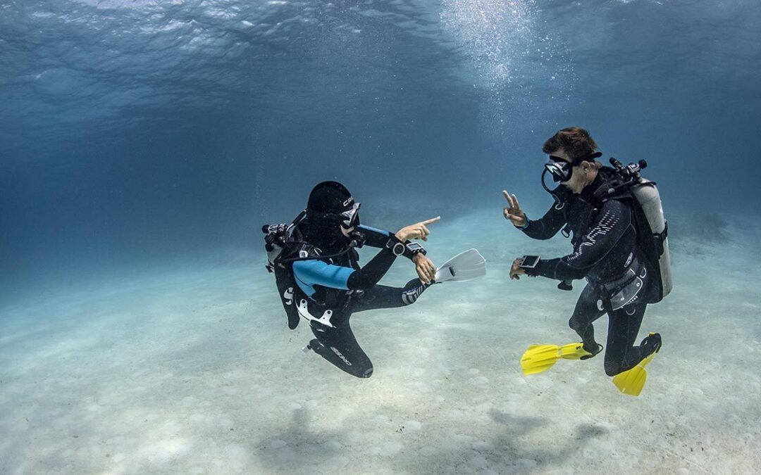 Diver Safety – Divers Alert Network